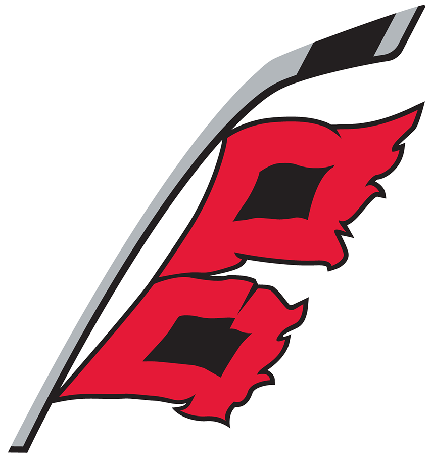 Carolina Hurricanes 2018-Pres Alternate Logo iron on heat transfer